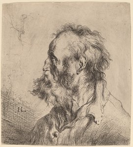 Egy szakállas öregember mellszobra alkotó: Jan Lievens