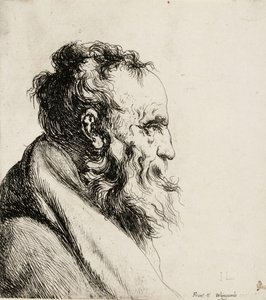 Egy öregember mellszobra, jobbra nézve alkotó: Jan Lievens