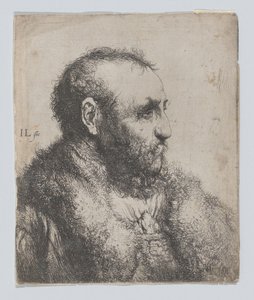 Idős férfi mellszobra prémgallérral alkotó: Jan Lievens