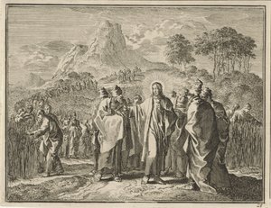 Kalászszedés szombaton alkotó: Jan Luyken