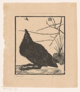 Crow, felnéz a szúnyogra