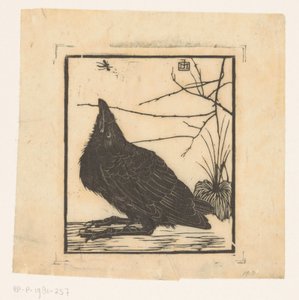 Crow, felnéz a szúnyogra