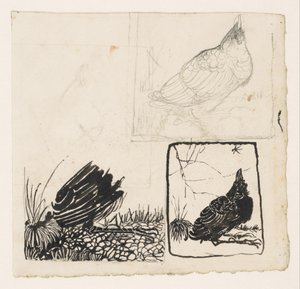 Crow, felnéz a szúnyogra