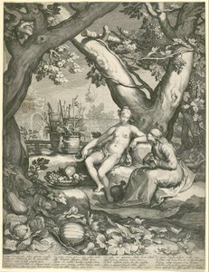 Vertumnus egy öregasszony alakját kölcsönzi, hogy elnyerje Pomona szerelmét alkotó: Jan Pietersz. Saenredam