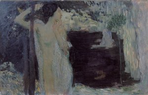 Nő a Fekete-tónál, 1904