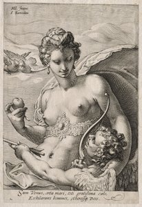 Vénusz és Ámor, c. 1595. alkotó: Jan Saenredam
