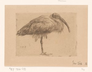 Ibis (eredeti cím a tárgyon)