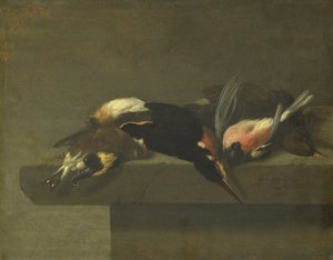 Halott madarak alkotó: Jan Vonck