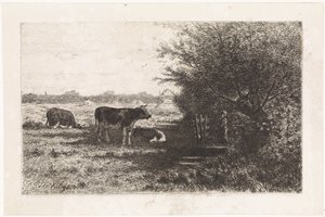 Tehenek a legelőn