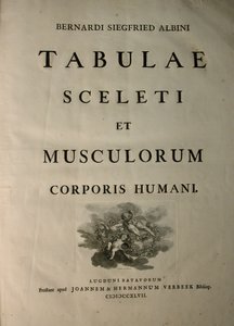 Albinus I, címlap, a "Tabulae sceleti et musculorum corporis humani" című műből, írta Bernhard Siegfried Albinus (1697-1770), kiadta J.undH. Verbeek, bibliop., Leiden, 1747. alkotó: Jan Wandelaar