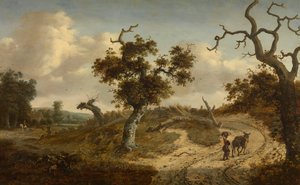 Tájkép alkotó: Jan Wijnants