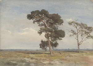 Kilátás a Heath két fával
