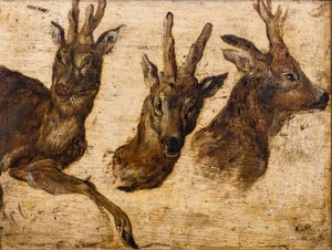 Brokátok fej (olaj, vászon) alkotó: Jan the Elder Brueghel