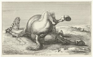 elesett ló Dead Horses (sorozat címe)