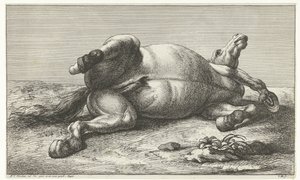 Döglött ló a bal oldalán fekszik Dead Horses (sorozat címe)