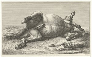 Döglött ló a bal oldalán fekszik Dead Horses (sorozat címe)