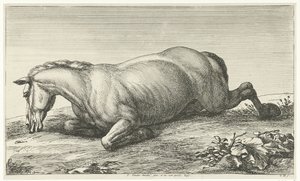 Döglött ló hason fekszik Dead Horses (sorozat címe)