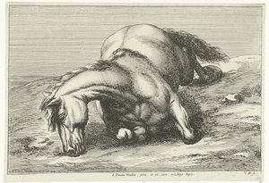 Döglött ló fekszik a jobb oldalon Dead Horses (sorozat címe)