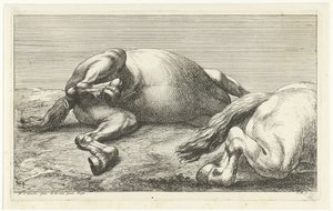 Két elesett ló, a jobb oldalról nézve Dead Horses (sorozat címe) alkotó: Jan van Huchtenburg