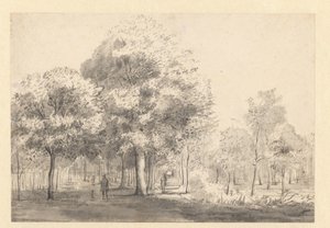 Kilátás a Haarlemmerhoutra, Haarlem alkotó: Jan van Kessel (attributed to)
