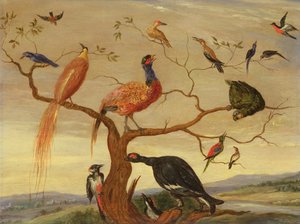 Madárkoncert (olaj, réztábla) alkotó: Jan van Kessel the Elder