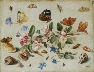 Virágok és rovarok, 1650-es évek vége vagy 1660-as évek eleje