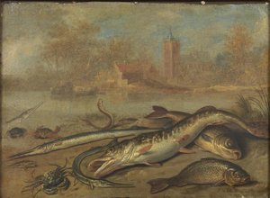 Halak és táj alkotó: Jan van Kessel the Elder