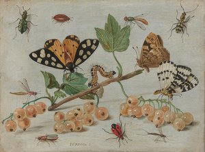 Rovarok és gyümölcsök. 1660-65 körül alkotó: Jan van Kessel the Elder