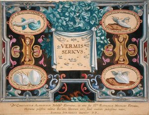 Theodor Galle (1571-1633) által metszett „Vermis Sericus” (A selyemhernyó) előlapja (metszet) alkotó: Jan van der Straet