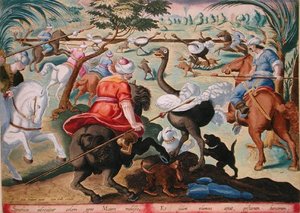 Mórok lóháton vadászó struccok, 62-es tábla a „Venationes Ferarum, Avium, Piscium”-ból (Vadászatról: Vadállatok, madarak, halak), Jan Collaert (1566-1628) metszete, Phillipus Gallaeus Amszterdam (kézzel színezett metszet) alkotó: Jan van der Straet