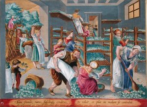 Női polcokat eperfalevelekkel bélelve a selyemhernyók számára, 5. tábla a „Vermis Sericus”-ból (A selyemhernyó), Philip Galle (1537-1612) metszetével (metszet) alkotó: Jan van der Straet