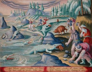 Krokodilok befogása a Nílus partján, megkötött sertésekkel csaliként, 87. tábla a „Venationes Ferarum, Avium, Piscium” (Vadászatról: Vadállatok, madarak, halak) vésett Jan Collaert (1566-1628) által, kiadó: Phillipus Gallaeus Amszterdam (kéz col