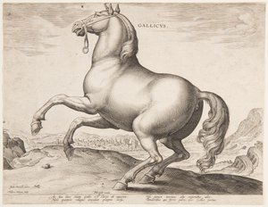 Egy francia ló, az "Equile Joannis Austriaci" első sorozatából alkotó: Jan van der Straet, called Stradanus