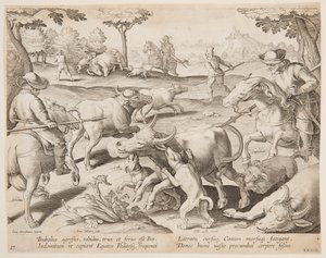 Buffalo Hunt, 27. lemez a Vadászat, a madarak és a halak sorozatban alkotó: Jan van der Straet, called Stradanus