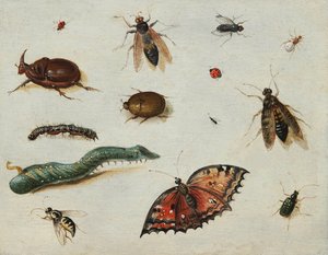 ""Rovarok"" (Rovarok) Idősebb Jan Van Kessel festménye (1626-1679) Olaj, fa Méret 13x16,5 cm Fondation Custodia