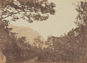 Akác, Como