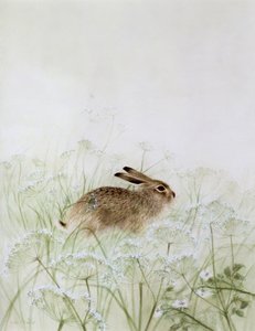 Nyúl alkotó: Jane Neville