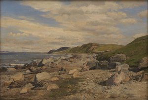 Strandrész Helgenæsben