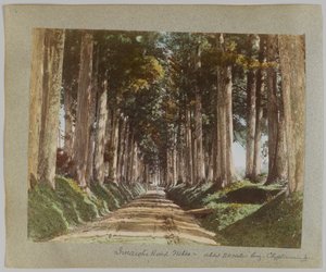 Imaichi Road, Nikko, Japán (kézzel színezett fekete-fehér fotó) alkotó: Japanese Photographer