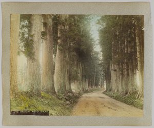 Imaichi Road, Nikko, Japán (kézzel színezett fekete-fehér fotó) alkotó: Japanese Photographer
