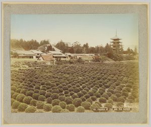 Toji pagoda és teakert, Kiotó, Japán (kézzel színezett fekete-fehér fotó) alkotó: Japanese Photographer