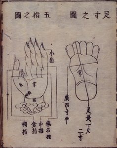16029.b.5 fol.15v Ábra, amely a kézen és a lábon lévő akupunktúrás pontokat mutatja, egy kínai akupunktúrával foglalkozó mű, a kiotói Hua Shou Shisijing fahui 1341-es kommentárjából. alkotó: Japanese School