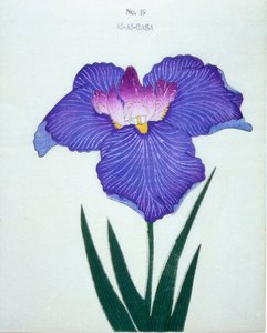 Al-Al-Gasa, 19. sz., 1898