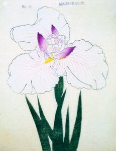 Sekély. -Kasumi Arimura. 43, 1898 alkotó: Japanese School