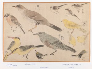 Birds in Okyo Style (fatömb színes nyomat) alkotó: Japanese School