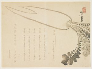 Daikon retek, 1864. január (színes fanyomat) alkotó: Japanese School