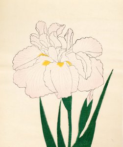 En-Yo-No-Ten, No. 73, 1890 (színes fatömbnyomat) alkotó: Japanese School
