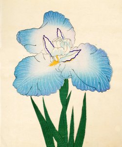 Irojiman, No. 80, 1890 (színes fatömbnyomat) alkotó: Japanese School