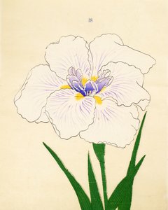 Manozuru, a. 1890. 28 alkotó: Japanese School