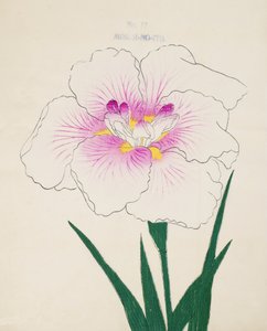 Gino kisasszony. -szál, az. 1898. 17 alkotó: Japanese School